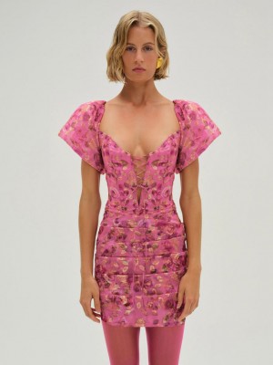 Pink For Love & Lemons Blurred Roses Mini Dress | US-AIWC37650