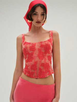 Red For Love & Lemons Embroidered Roses Corset Top | US-MZKY91670